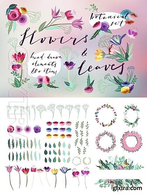 CM - Flowers & Leaves Vector Set 585287