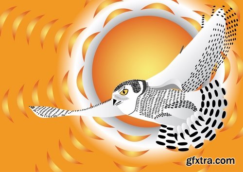 Collection of bird of prey eagle owl vector image 25 EPS