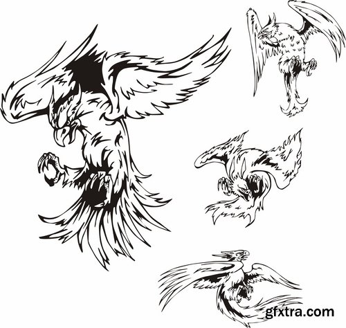 Collection of bird of prey eagle owl vector image 25 EPS