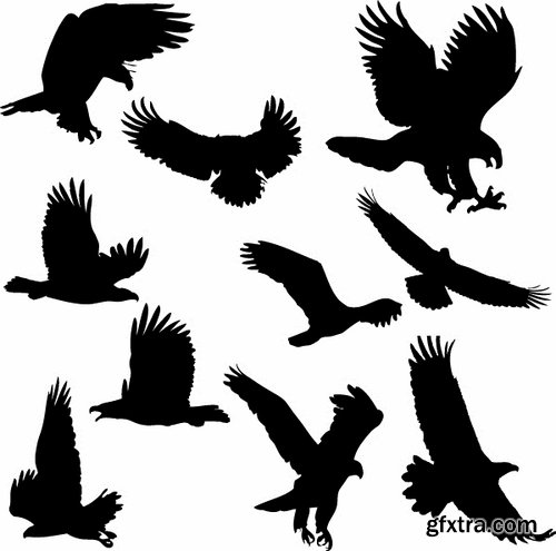 Collection of bird of prey eagle owl vector image 25 EPS