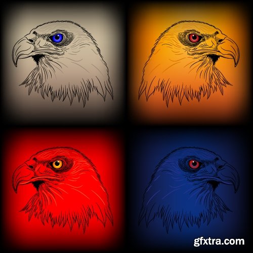 Collection of bird of prey eagle owl vector image 25 EPS