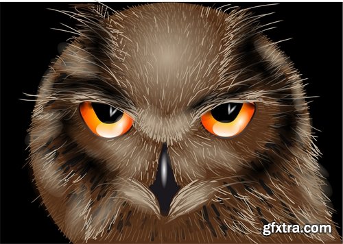 Collection of bird of prey eagle owl vector image 25 EPS