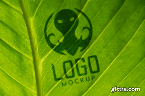 CreativeMarket 10 Logo Mockups Vol.1 230728