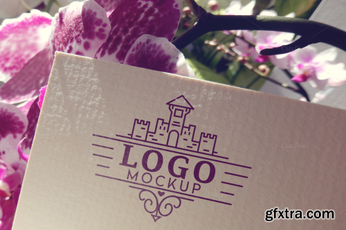 CreativeMarket 10 Logo Mockups Vol.1 230728