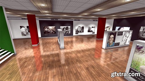 Videohive Photo Art Gallery 3D 8892910