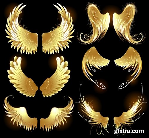 Collection wing wings gothic heraldry decoration vector image 25 EPS