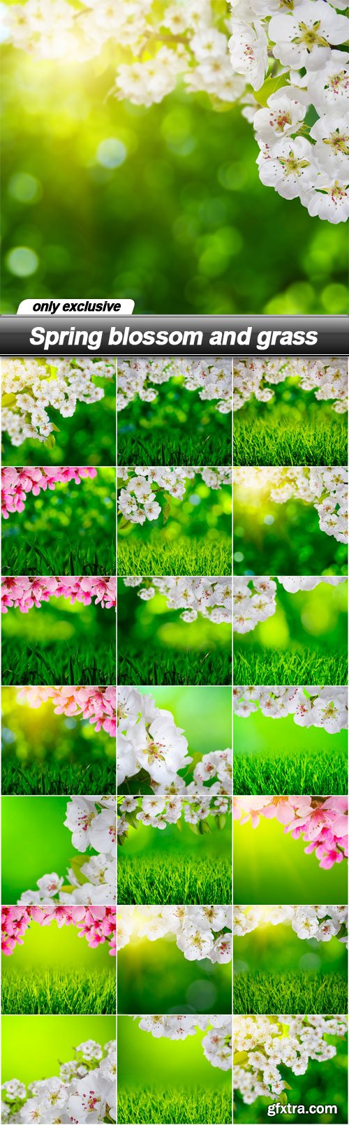 Spring blossom and grass - 20 UHQ JPEG