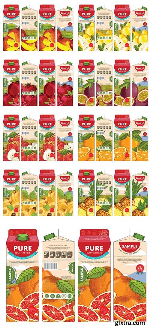 Juice Carton Cardboard Box Pack Design