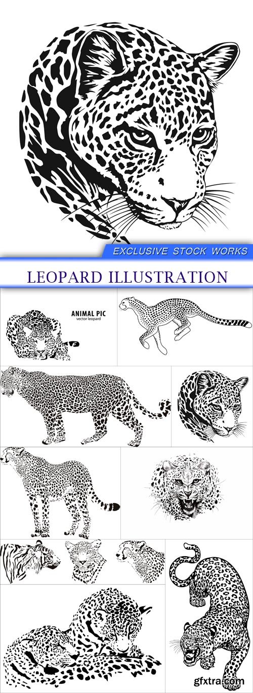 Leopard illustration 9X EPS