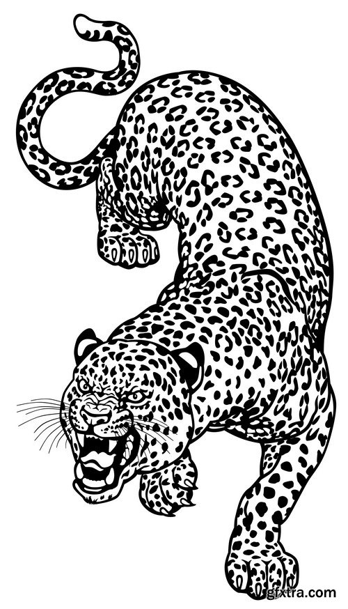 Leopard illustration 9X EPS