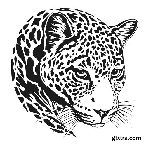 Leopard illustration 9X EPS