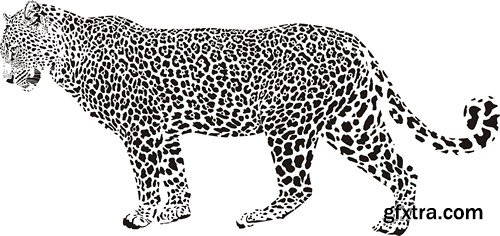 Leopard illustration 9X EPS