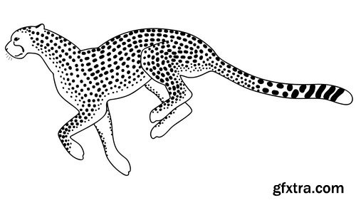 Leopard illustration 9X EPS