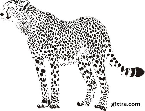 Leopard illustration 9X EPS