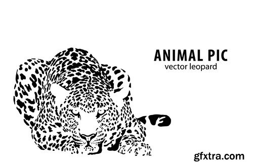 Leopard illustration 9X EPS