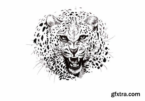 Leopard illustration 9X EPS