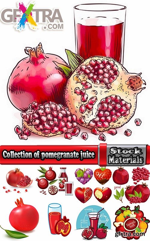 Collection of pomegranate juice garnet red rind seed vector image 25 EPS