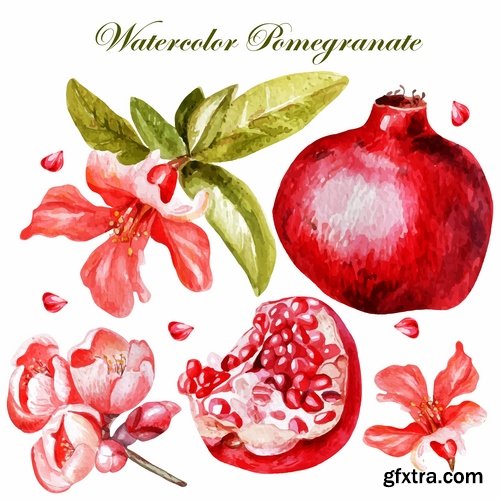 Collection of pomegranate juice garnet red rind seed vector image 25 EPS