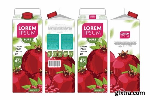 Collection of pomegranate juice garnet red rind seed vector image 25 EPS