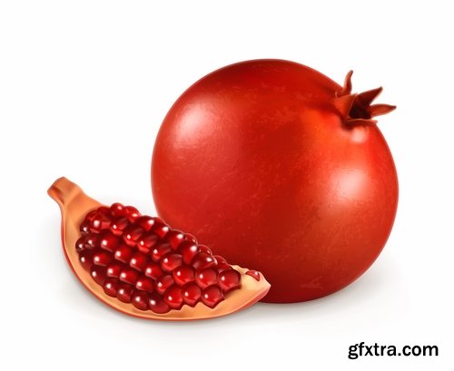 Collection of pomegranate juice garnet red rind seed vector image 25 EPS