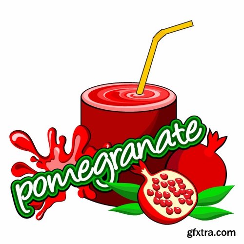 Collection of pomegranate juice garnet red rind seed vector image 25 EPS