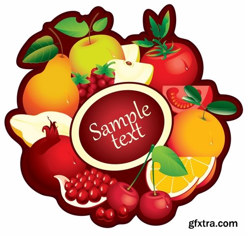 Collection of pomegranate juice garnet red rind seed vector image 25 EPS