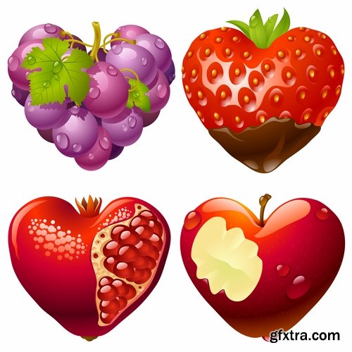 Collection of pomegranate juice garnet red rind seed vector image 25 EPS