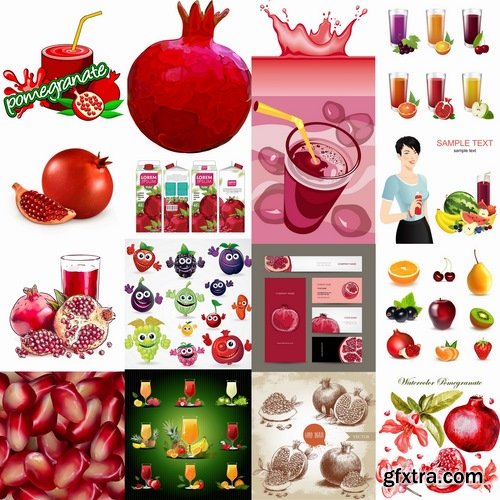 Collection of pomegranate juice garnet red rind seed vector image 25 EPS