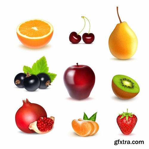 Collection of pomegranate juice garnet red rind seed vector image 25 EPS