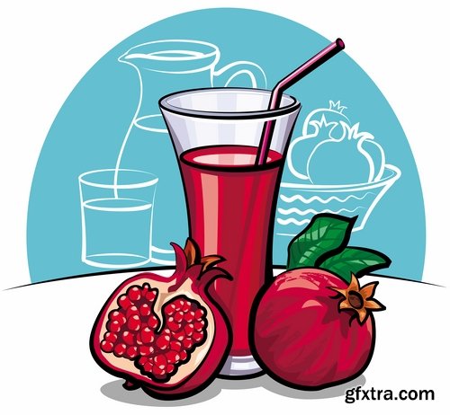 Collection of pomegranate juice garnet red rind seed vector image 25 EPS