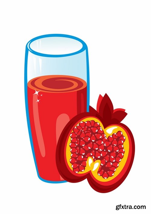 Collection of pomegranate juice garnet red rind seed vector image 25 EPS