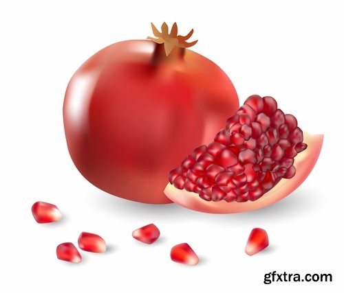 Collection of pomegranate juice garnet red rind seed vector image 25 EPS