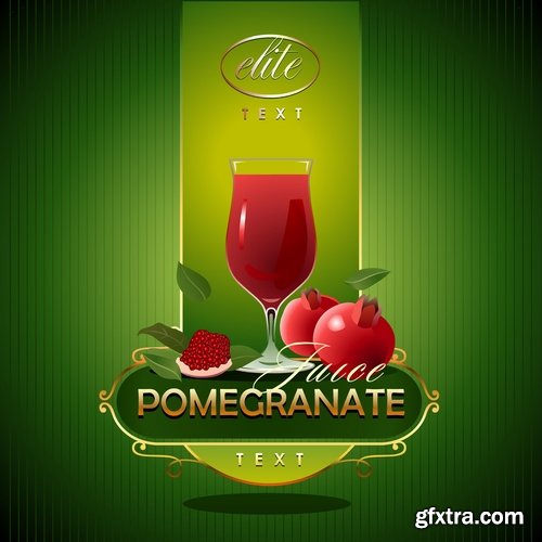 Collection of pomegranate juice garnet red rind seed vector image 25 EPS