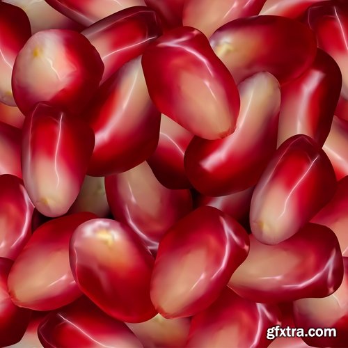 Collection of pomegranate juice garnet red rind seed vector image 25 EPS