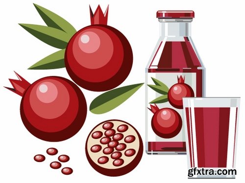 Collection of pomegranate juice garnet red rind seed vector image 25 EPS