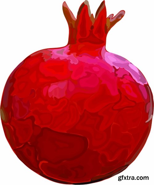 Collection of pomegranate juice garnet red rind seed vector image 25 EPS