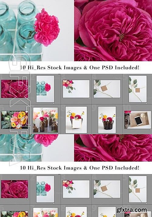 CM - Floral Stock Images for Bloggers 581387