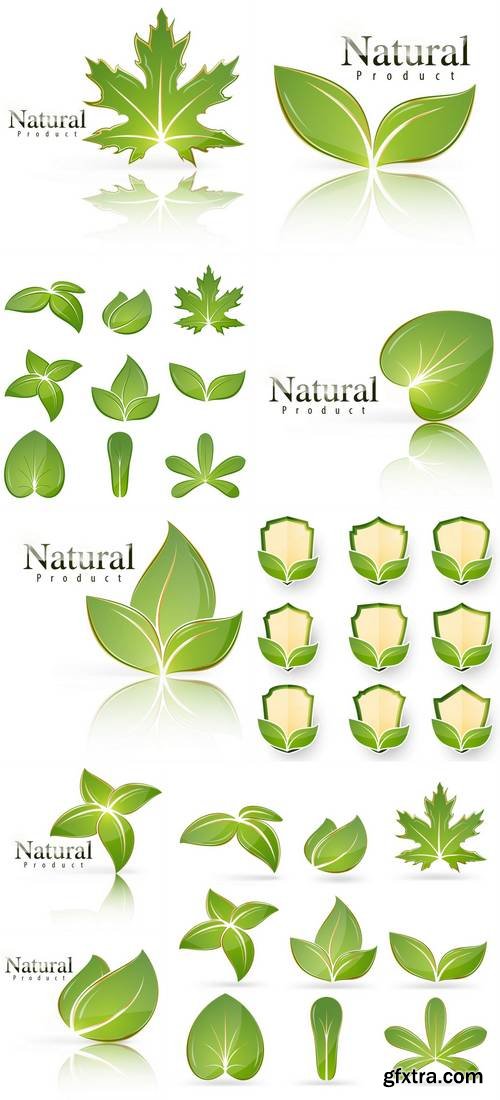 Green Leaf Icon Set