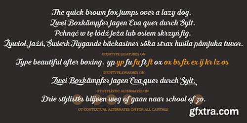 Moonface Script Fonts