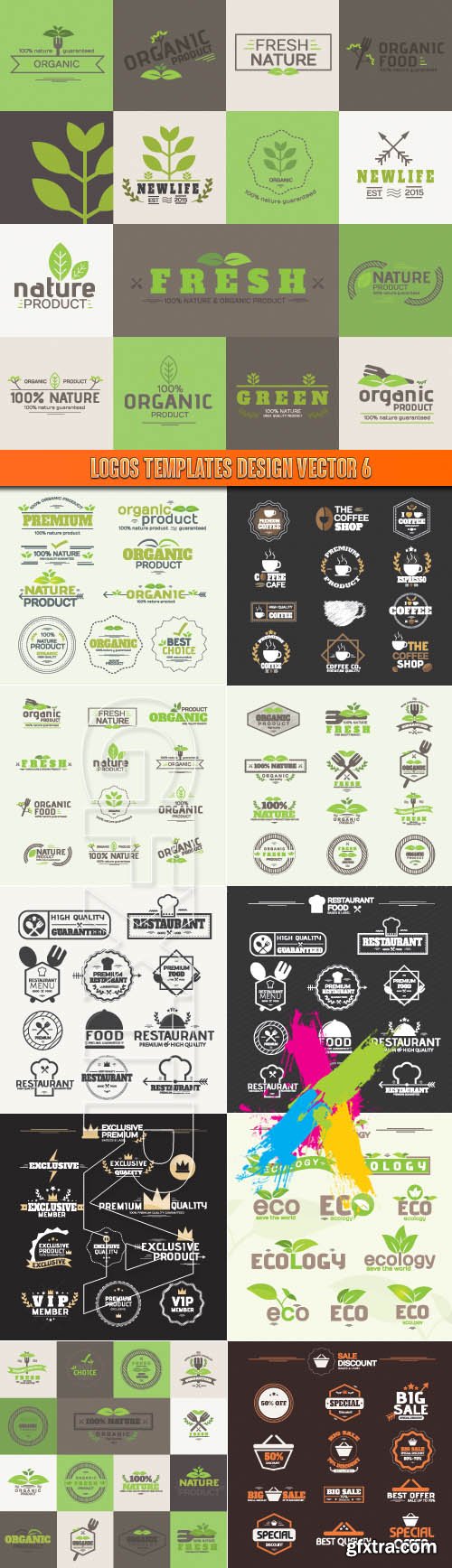 Logos Templates Design Vector 6