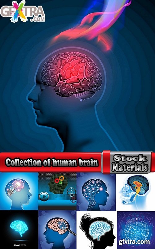 Collection of human brain infographics vector image 25 EPS