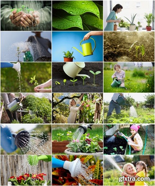 Collection watering garden gardening germ escapes earth ground soil bed 25 HQ Jpeg