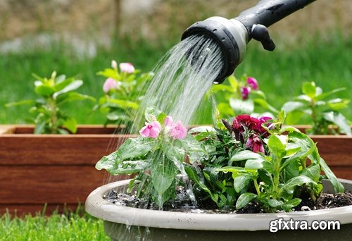 Collection watering garden gardening germ escapes earth ground soil bed 25 HQ Jpeg