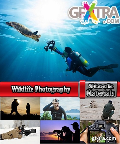 Wildlife Photography Collection photography Photo camera animals nature 25 HQ Jpeg