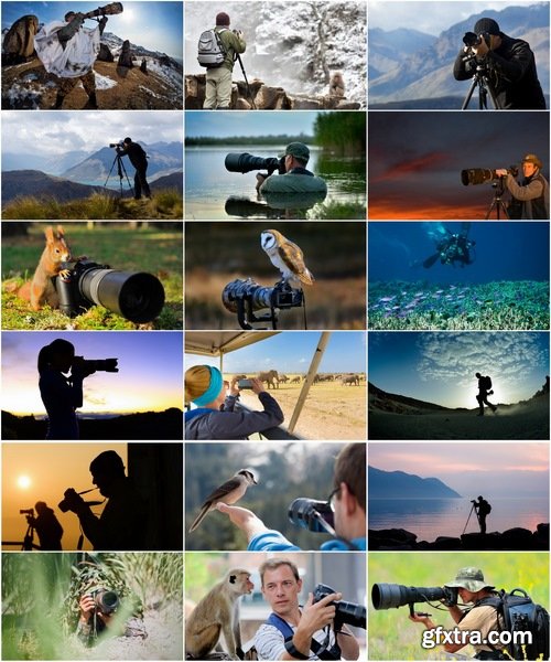 Wildlife Photography Collection photography Photo camera animals nature 25 HQ Jpeg