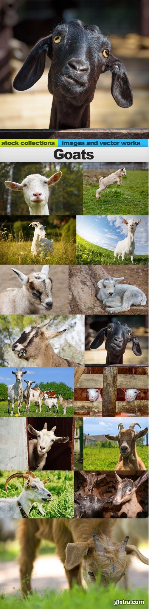 Goats, 15 x UHQ JPEG