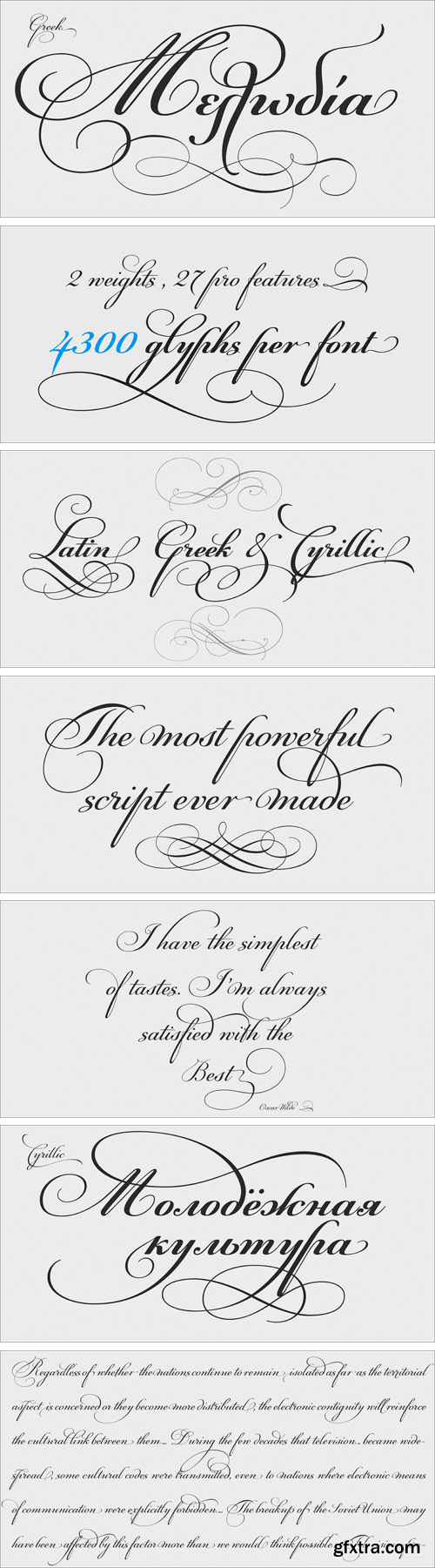 PF Champion Script Pro Font Family