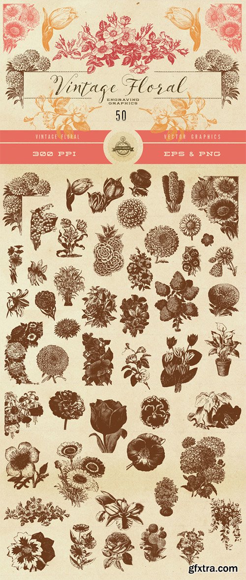 Vintage Flower Vector Graphics - CM 576425