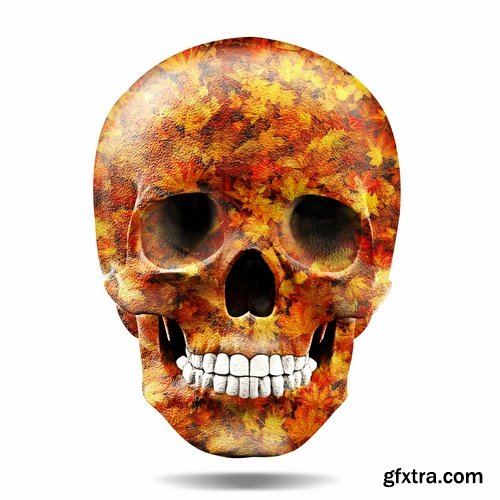 Collection skull with different textures drawing graffiti printing for t-shirts 25 HQ Jpeg