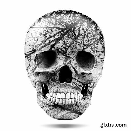 Collection skull with different textures drawing graffiti printing for t-shirts 25 HQ Jpeg